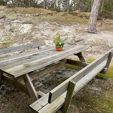 Cosy Little In The Woods At Dueodde