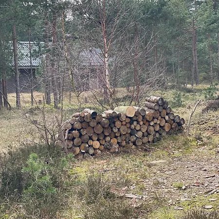 Dom wakacyjny Cosy Little In The Woods At Dueodde
