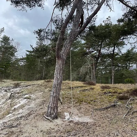 Cosy Little In The Woods At Dueodde Nexø