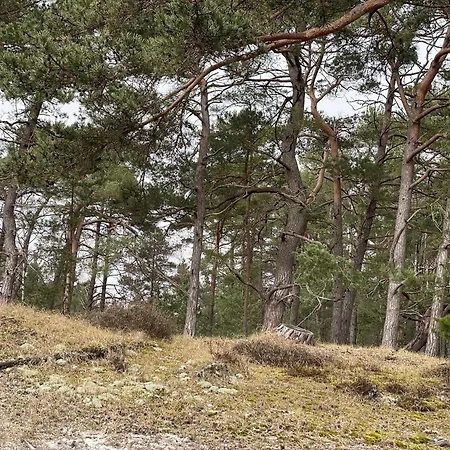 Cosy Little In The Woods At Dueodde *